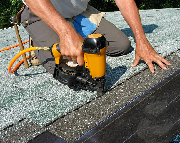 Best Roof Gutter Cleaning  in Vassar, MI