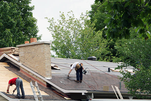 Best Roof Repair Services  in Vassar, MI
