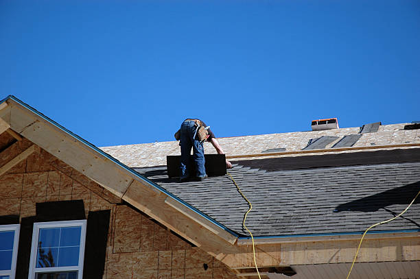 Best Roof Leak Repair  in Vassar, MI