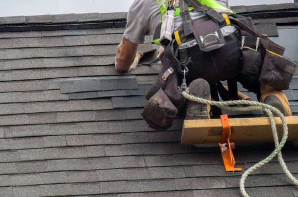 Quick and Trustworthy Emergency Roof Repair Services in Vassar, MI