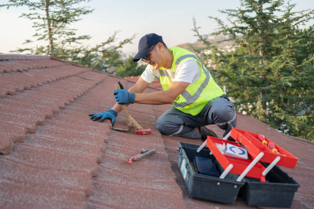Professional Roofing Contractor in Vassar, MI