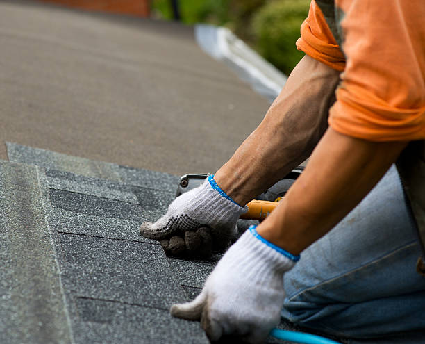 Best Residential Roofing Contractor  in Vassar, MI