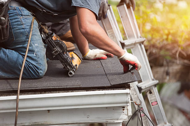 Best Flat Roof Repair Services  in Vassar, MI