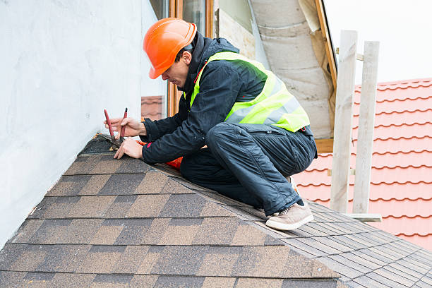 Best Metal Roofing Contractor  in Vassar, MI