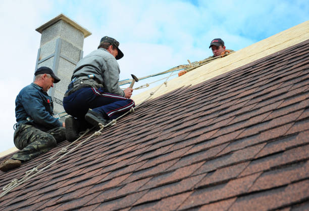 Best Emergency Roof Repair  in Vassar, MI