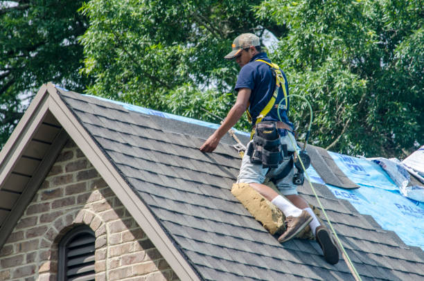Best Gutter Installation and Roofing  in Vassar, MI