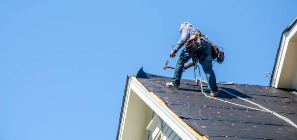 Best Roofing Contractor Near Me  in Vassar, MI